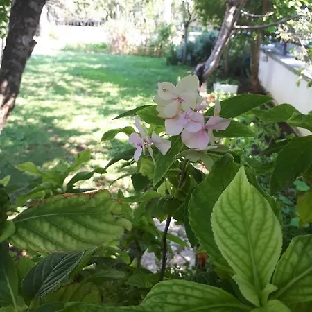 Lejlighed With Parking Space Starigrad, Paklenica - 11848 Starigrad Paklenica