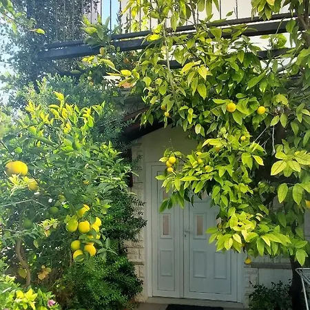 With Parking Space Starigrad, Paklenica - 11848 * Starigrad Paklenica